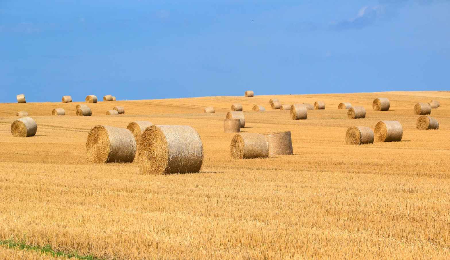 Comfort. Where’s The Source?