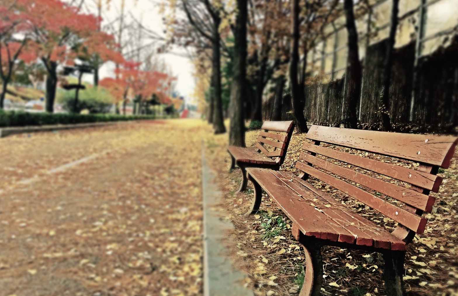 “Sitting on a Bench”