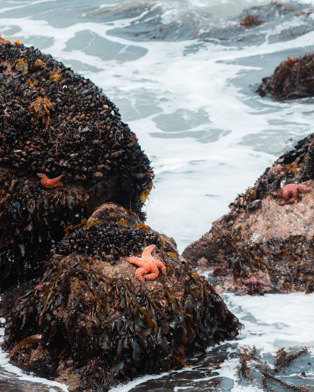 “Don’t Compromise!”