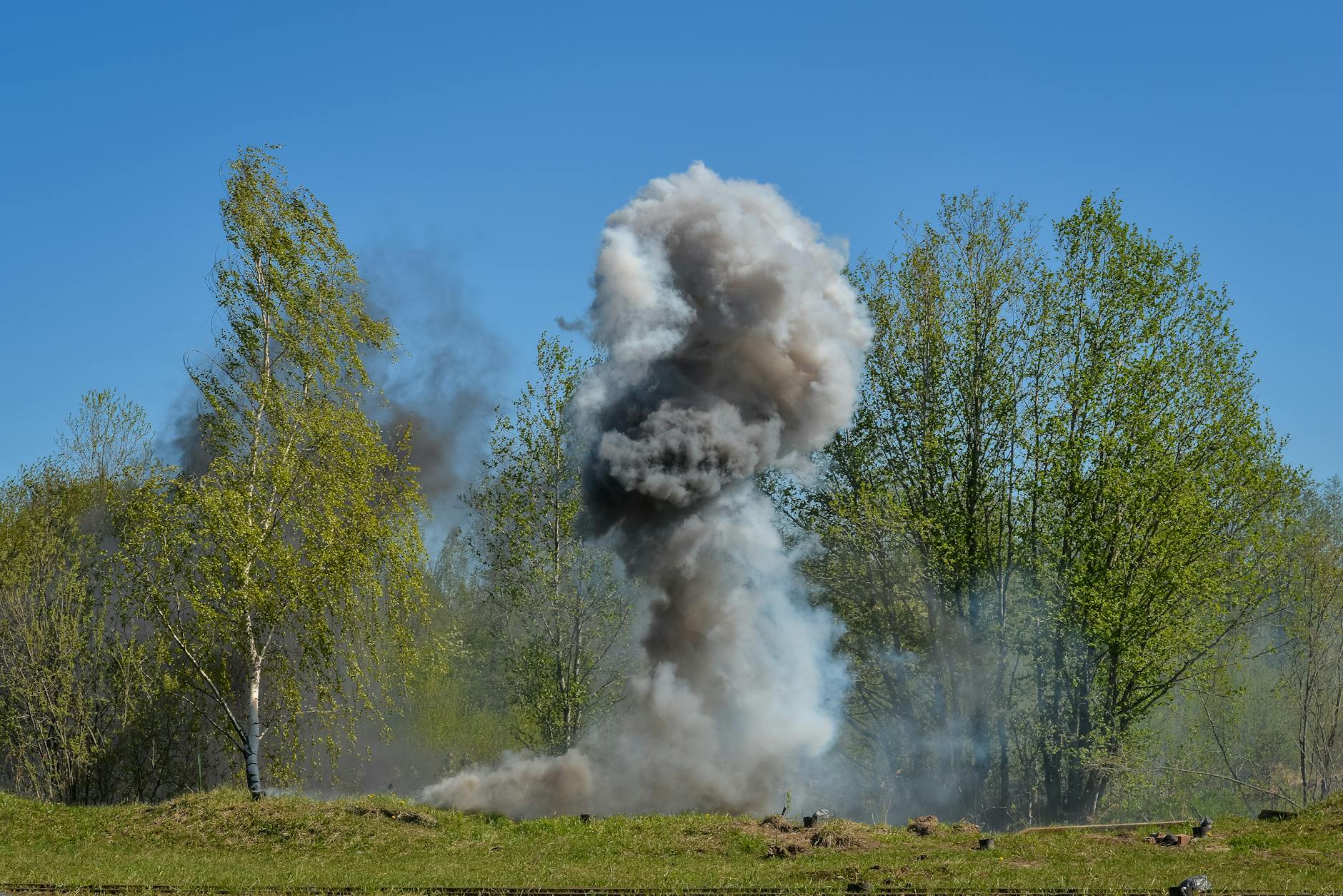 photograph of smoke near trees