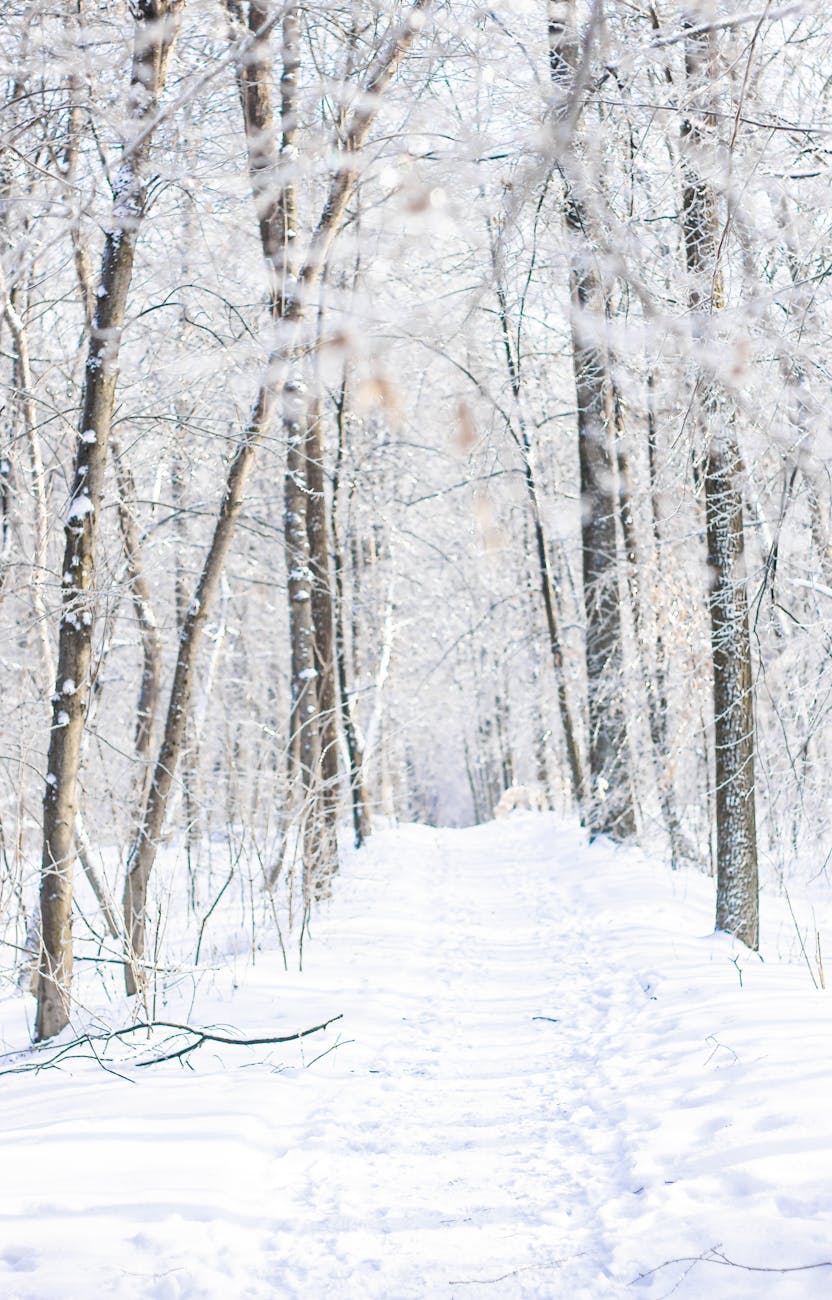 Unexpected Interruptions, Divine Appointments